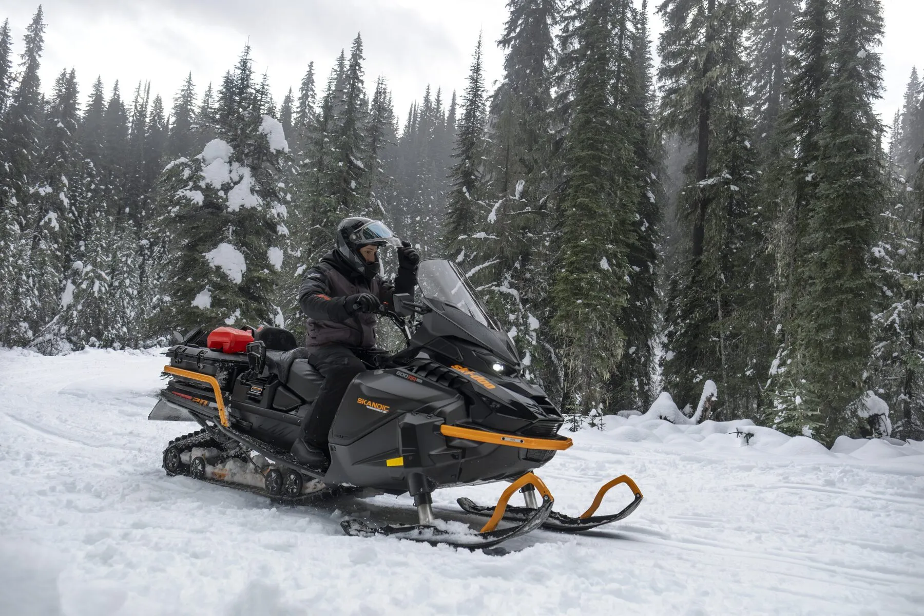 Motoneige Ski-Doo dans la neige